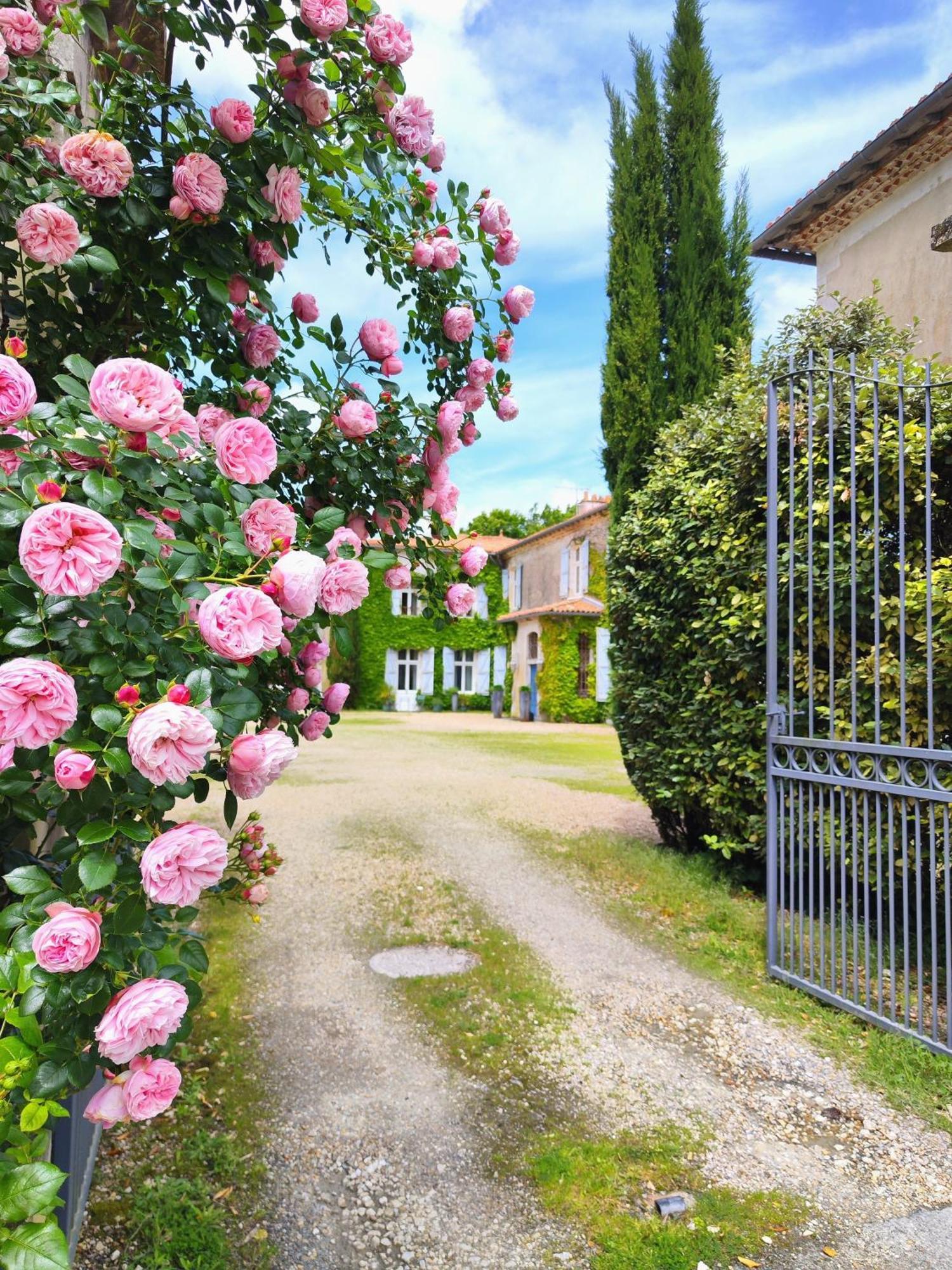Hotel Chateau De Didonne Sémussac Exterior foto
